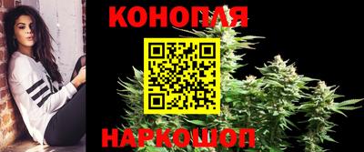 трава Камышлов