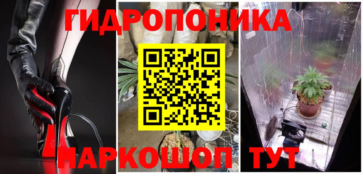Конопля сатива  Каннабис OG Kush  Бошки Шишки OG Kush  Конопля Amnesia  Кунгур  Вход с VPN 